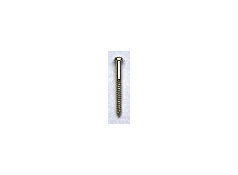 AP GS 0011-B10 Bass Pickup Mnt Screws, Bulk (50-pack) 